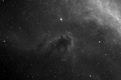 LDN-1622 in the Barnard loop
