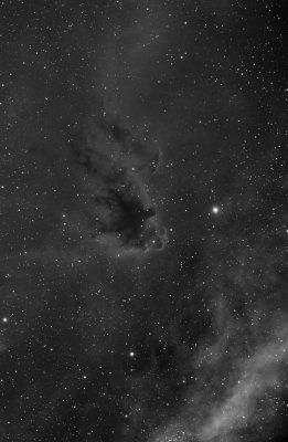 LDN-1622 ghostly nebula