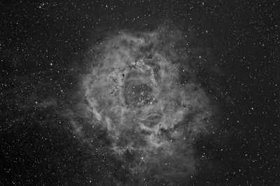 The rosette nebula (2010 version)