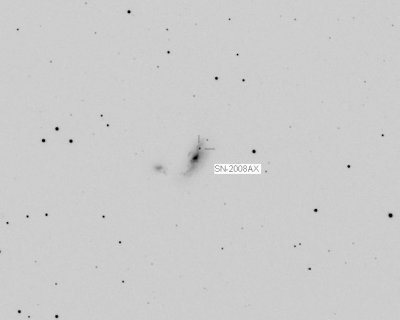 Ngc-4490 & SN-2008AX