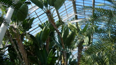 The Temperate House