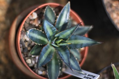 g3/58/764158/3/125365685.dqXKEuTq.jpg