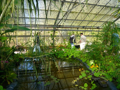 Nursery Planting