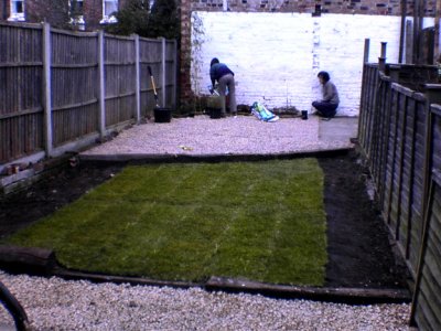 turf and our first ever bamboo being planted