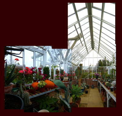 Greenhouse panoramic