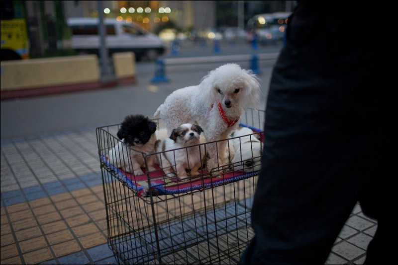 Chengdu