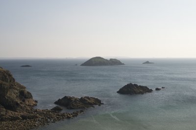 DSC_3386.jpg