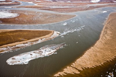 Tundra: Pyasina river