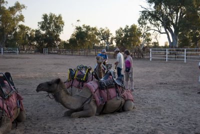 Alice Springs Sights