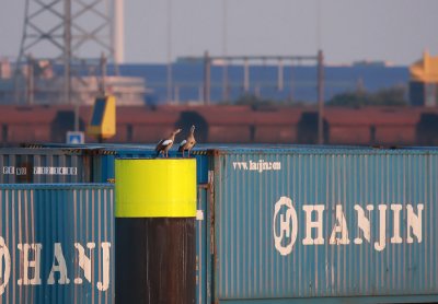 g3/58/786358/3/114996564.BP1qUDr7.jpg