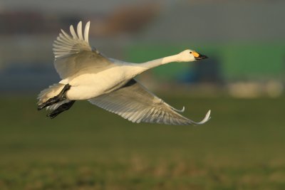 g3/58/786358/3/121402058.BR5JMzxP.jpg