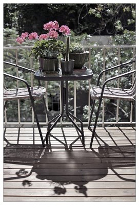 The Balcony