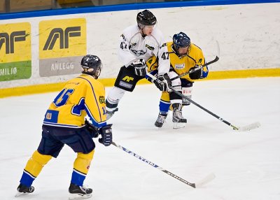 IMG_6488.jpg