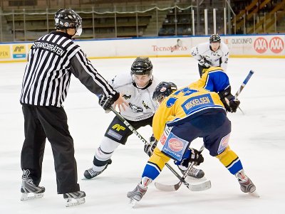IMG_6571.jpg