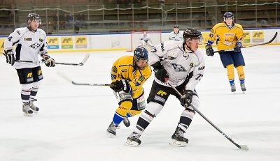 IMG_6593.jpg