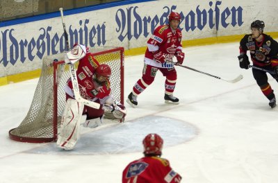 IMG_7201.jpg