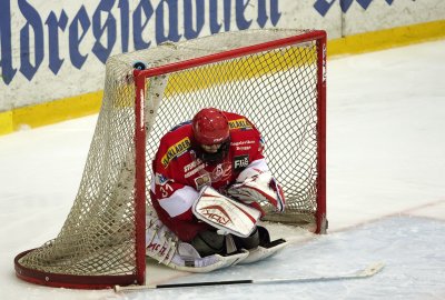 IMG_7206.jpg
