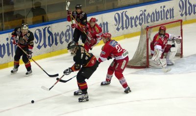 IMG_7211_2.jpg
