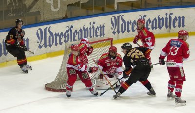 IMG_7233.jpg