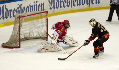 IMG_7300.jpg