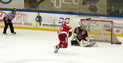 IMG_7311.jpg