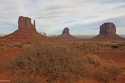 _H9W0987.jpg