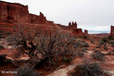 Scenic Route to Moab