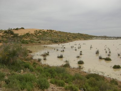 Flooded claypan near Birdsville