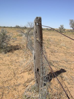Old vermin-proof fence