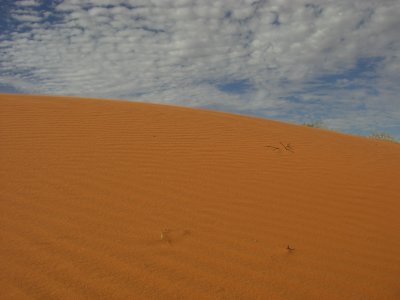 Dune I