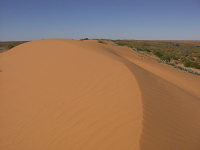 Dune IV