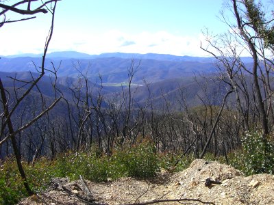 CIMG0070.JPG