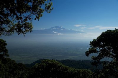 kilimanjaro