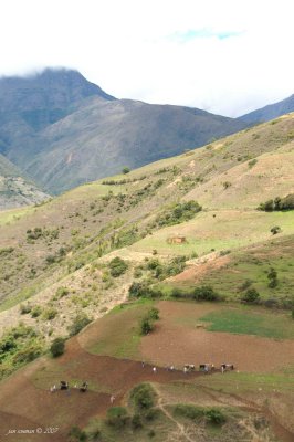 Andes