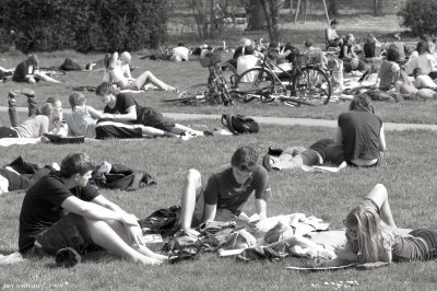 Day in the park