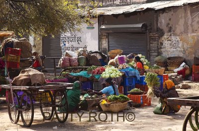 Udaipur Market