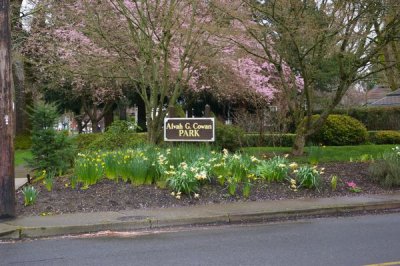 Local park