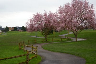 Trail at golf course