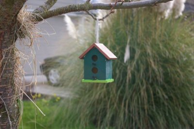 Bird House