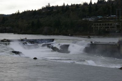 Willamette Falls Tv Mode