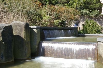 Water Fall