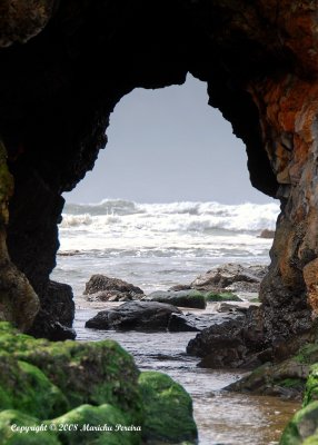 anonuevo_pescadero_beach
