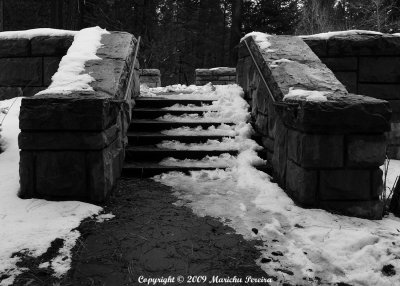 Yosemite Stairs