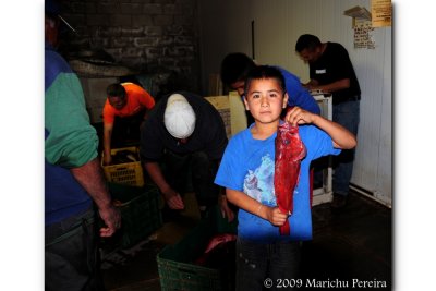 Young Fisherman's Catch Of The Day, 2nd place 01/04/10 LVCC Basic Journalism Projected