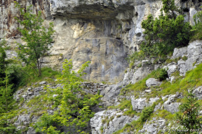_JMH5881.JPG