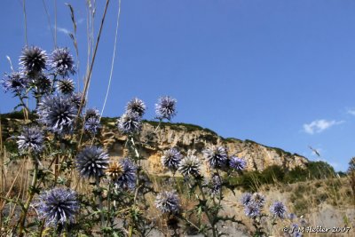 g3/58/851358/3/108846637.1PEYtI01.jpg
