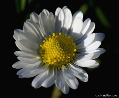 _JMH0746.JPG