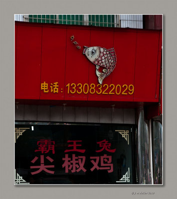 Chongqing-4720 copie.jpg