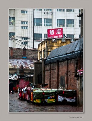 _JMH8215-9 copie.jpg