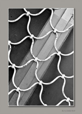 _JMH9229-62 copie.jpg